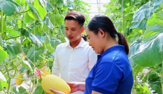 Thị đoàn – Hội LHTN Việt Nam thị xã Duyên Hải phối hợp hỗ trợ mô hình khởi nghiệp của thanh niên trong lĩnh vực bảo vệ môi trường, ứng phó với biến đổi khí hậu
